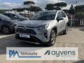 usato TOYOTA RAV 4