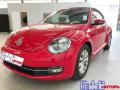 usato VOLKSWAGEN Maggiolino