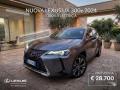 usato LEXUS UX Full Electric