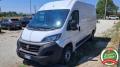 usato FIAT Ducato