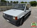 usato FIAT Panda
