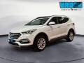 usato HYUNDAI Santa Fe
