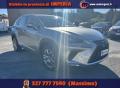 usato LEXUS NX 300