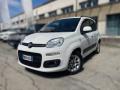 usato FIAT New Panda