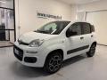 usato FIAT Panda