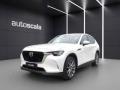 usato MAZDA CX 60