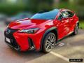 usato LEXUS UX 250h