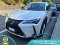usato LEXUS UX 250h