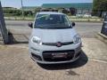 usato FIAT New Panda