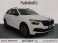 usato SKODA Kamiq