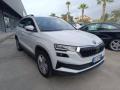 usato SKODA Karoq