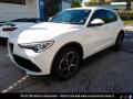 usato ALFA ROMEO Stelvio