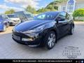 usato TESLA Model Y