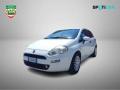 usato FIAT Punto