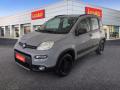 usato FIAT Panda