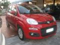 usato FIAT New Panda