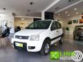 usato FIAT Panda