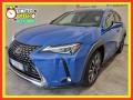 usato LEXUS UX 250h