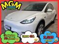 usato TESLA Model Y