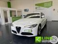 usato ALFA ROMEO Giulia