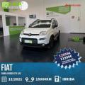 usato FIAT Panda