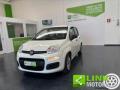 usato FIAT Panda