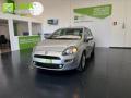 usato FIAT Punto
