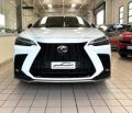 usato LEXUS NX 450h