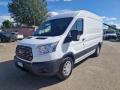 usato FORD Transit