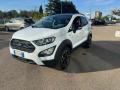 usato FORD EcoSport
