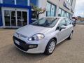 usato FIAT Punto Evo