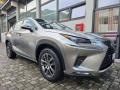 usato LEXUS NX 300h