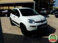 usato FIAT Panda