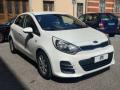 usato KIA Rio