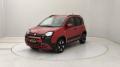 usato FIAT Panda Cross