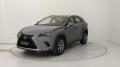 usato LEXUS NX 300h