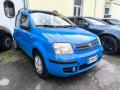 usato FIAT Panda