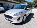 usato FORD Fiesta