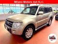 usato MITSUBISHI Pajero