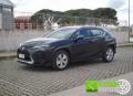 usato LEXUS UX 250h