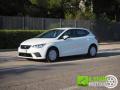 usato SEAT Ibiza