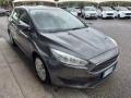 usato FORD Focus