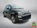 usato FIAT 500