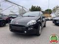 usato FIAT Punto