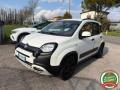 usato FIAT Panda Cross