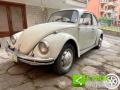 usato VOLKSWAGEN Maggiolino