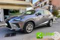 usato LEXUS NX 300