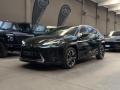 usato LEXUS UX 250h