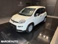 usato FIAT Panda