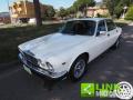 usato JAGUAR XJ6